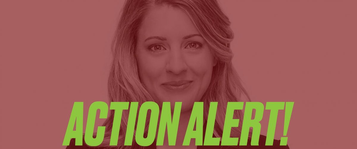 Tell Minister Joly to stand up for Palestinian civil society